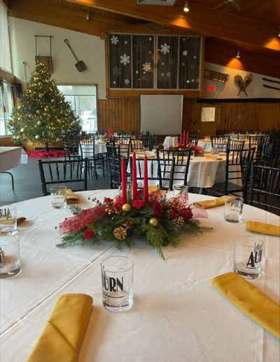 Christmas party holiday spot