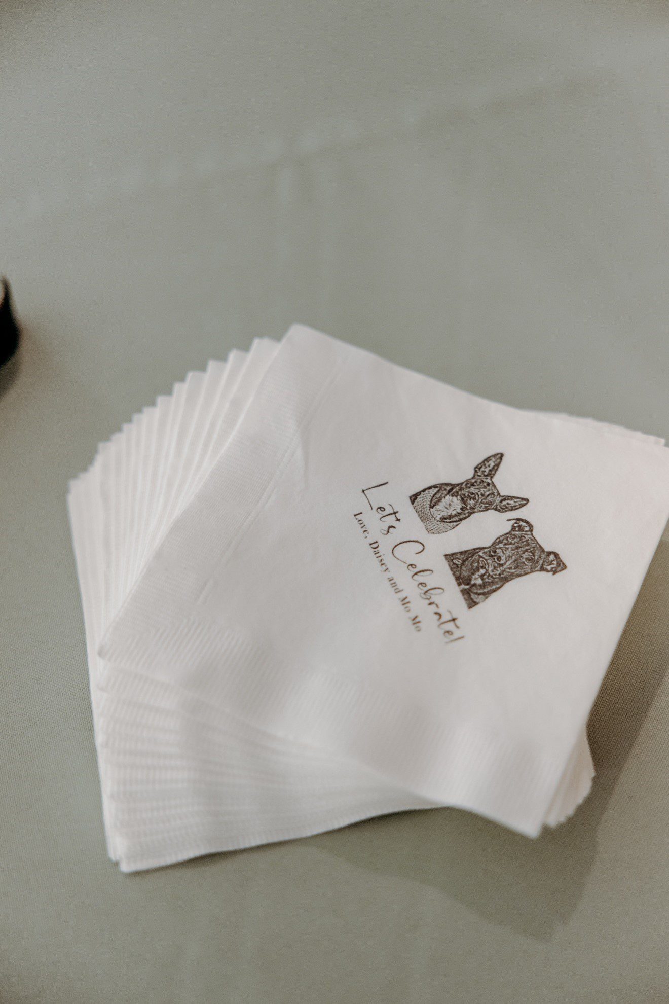 Personalized wedding cocktail napkins illustrated with the couple’s pets